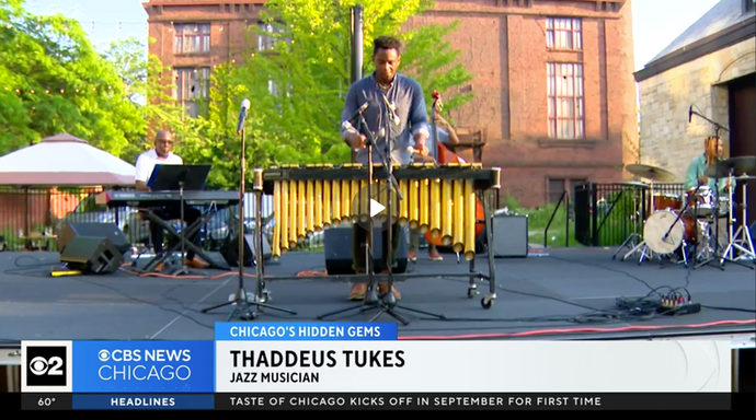 WATCH: Chicago's Hidden Gems - Thaddeus Tukes